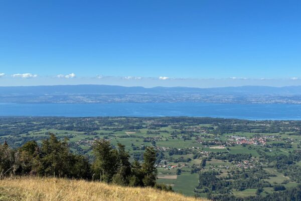 IMG-20261007-WA0009