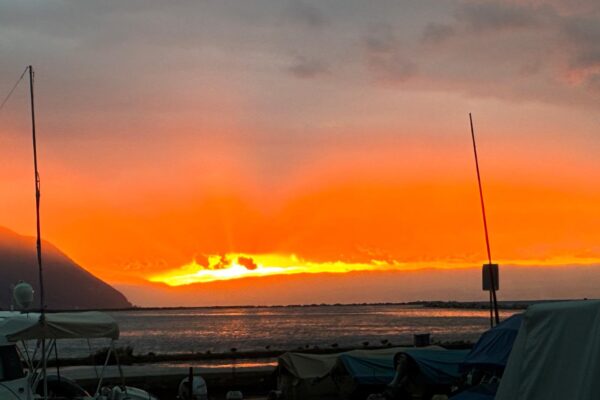 IMG-20261007-WA0023