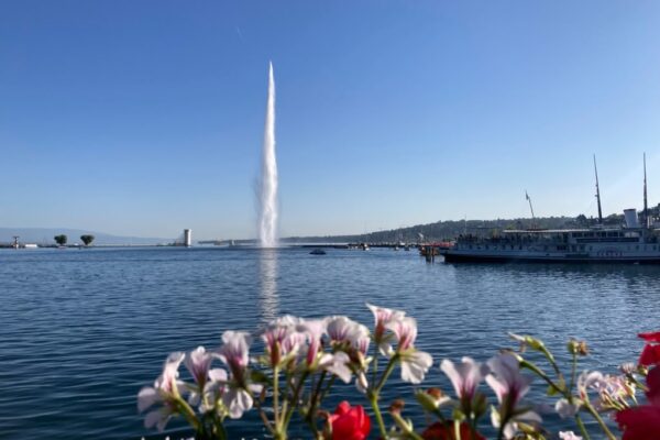 IMG-20261007-WA0043